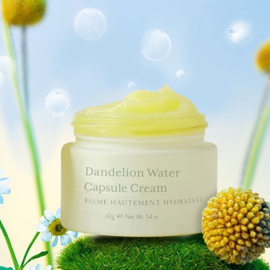 Dandelion Water Capsule Cream